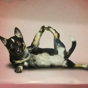 Meet your Posher, Tina